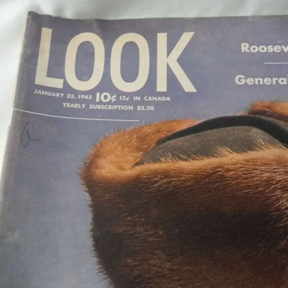 Look Magazine look magazine